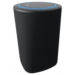 Speakers | Vaux Speaker for Amazon Echo Dot - Carbon