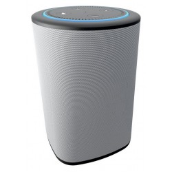 Vaux Speaker for Amazon Echo Dot - Ash