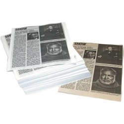 Print File Np46 4 x 6 Buffered Print Envelope (100-Pack)