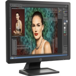 HP | HP P19A 19 ProDisplay LED Backlit LCD Monitor (Black)