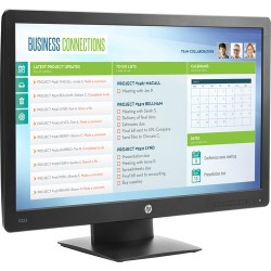 HP | HP ProDisplay P223 21.5 16:9 LCD Monitor