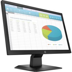 HP P204 19.5 16:9 TN LED Monitor (Head Only)