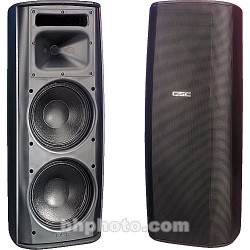 QSC ADS282HT-BK Dual 8 2-Way Loudspeaker (Black)