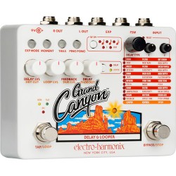 Electro-Harmonix Grand Canyon Delay and Looper Pedal for Electric Guitarists