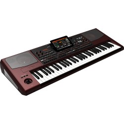 Korg | Korg Pa1000 61-Key Pro Arranger with Speakers