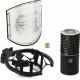 Aston Microphones Origin Large-diaphragm Condenser Microphone Bundle - Black